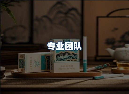 专业团队